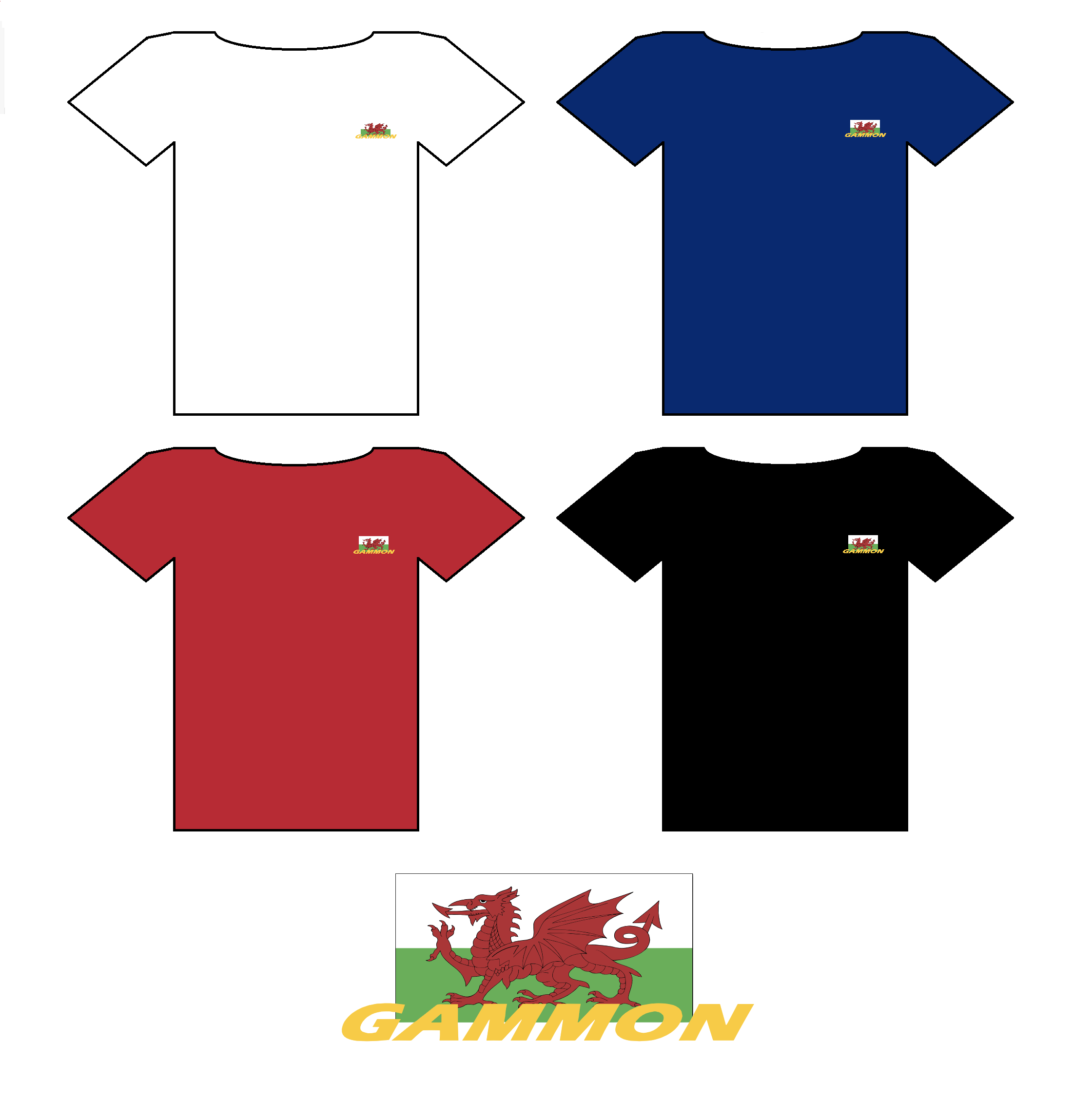 Short sleeve T-shirt with Welsh branding